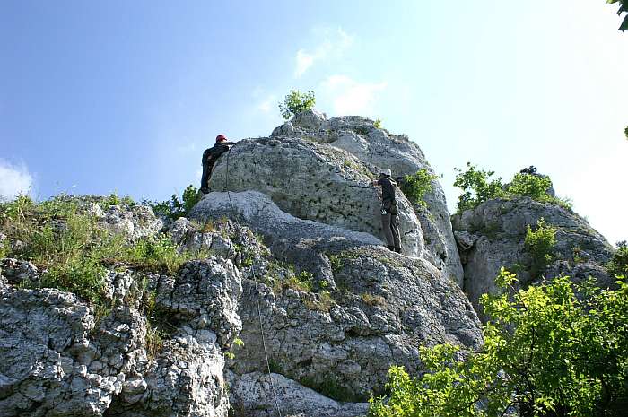 KONICA MINOLTA DIGITAL CAMERA