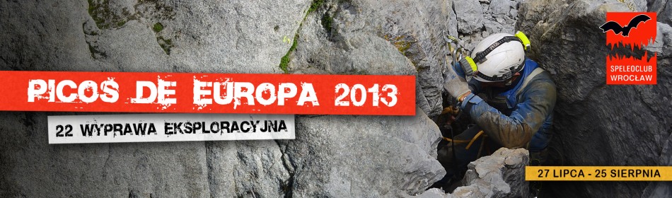 2013picos_banner-medium