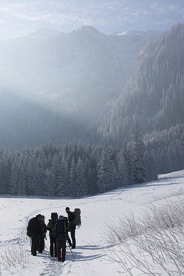 KONICA MINOLTA DIGITAL CAMERA