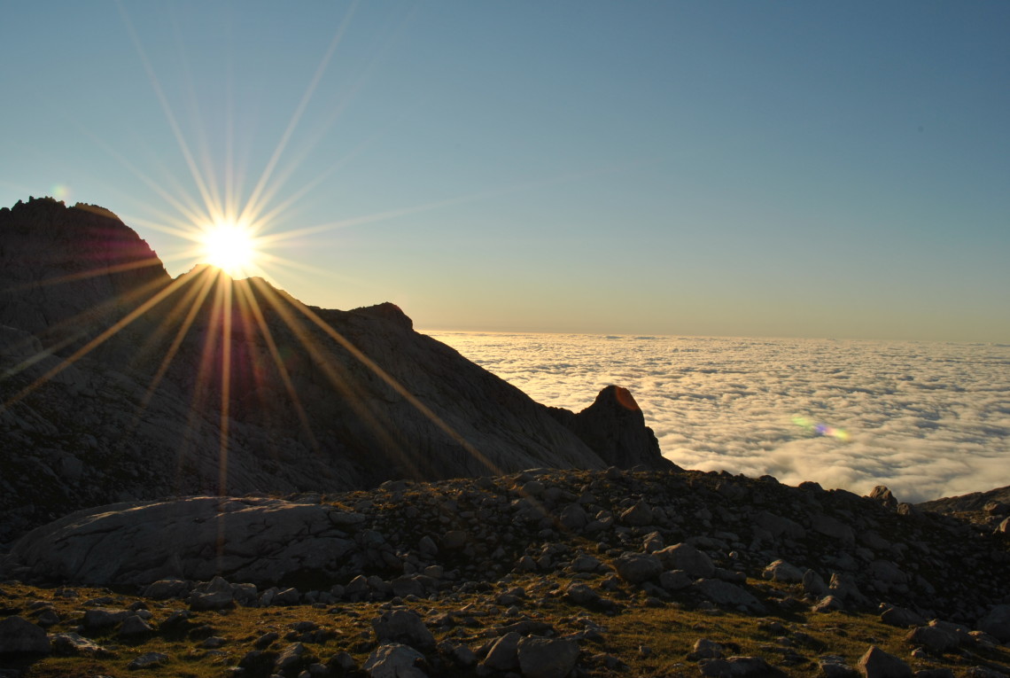 Tomasz Utkowski (5) Picos