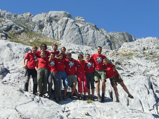 Picos 2008